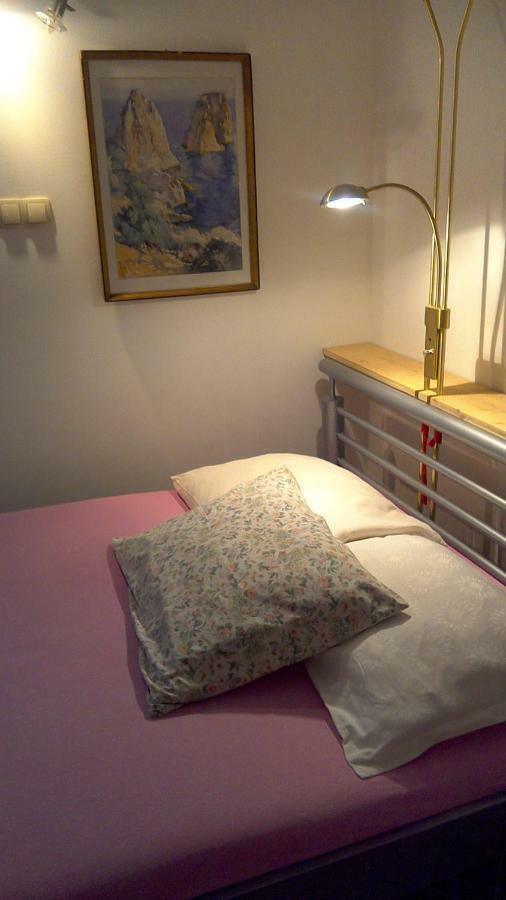 Apartment Ivanka -Krok บัชกา ภายนอก รูปภาพ